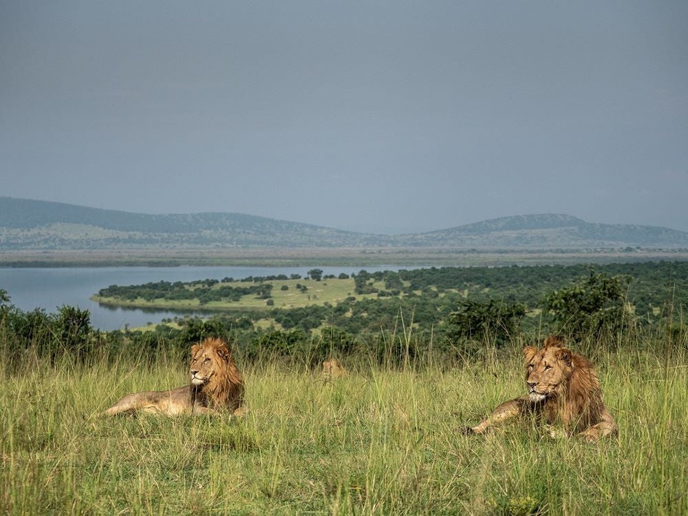 Volcanoes National Park